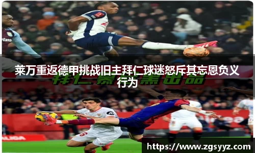 好博(中国)体育